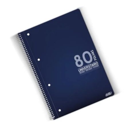 Caderno Universitário 4 furos